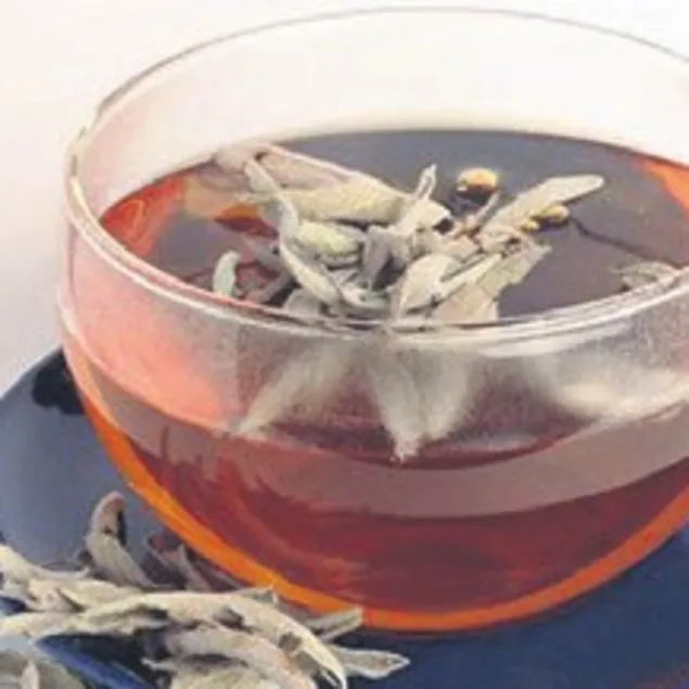 Gribe karşı Adaçayı