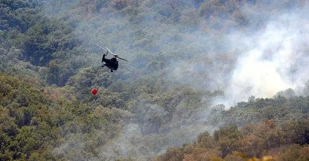 Son dakika: Bulgaristan-Türkiye sınırındaki 4 gündür süren yangın söndürüldü