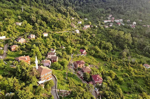 Kastamonu İnebolu'da ceset yiyen ayı dehşeti! Mezar kazan ayı görüntülendi