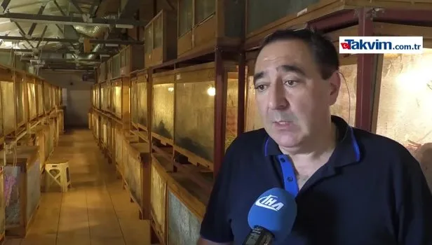 Tarım alanlarına zararıyla bilinen çekirgeleri gelir kapısı yaptı