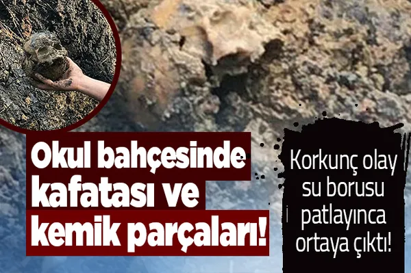 Aydın'da korkunç olay! Su borusu patlayınca ortaya çıktı! Okul bahçesinde kafatası ve kemik parçaları-1