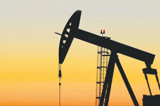 Terörden arındırılan Gabar Dağı'nda 150 milyon varil petrol rezervi bulundu! Petrol alanına  Şehit Esma Çevik'in adı verildi