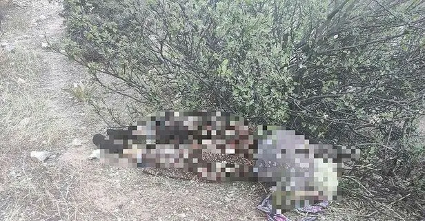 Manisa’da 2 gündür kayıp olan kadından acı haber