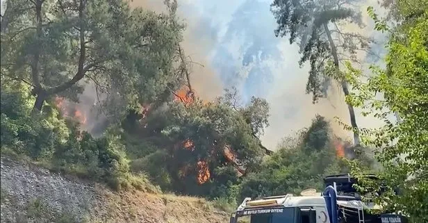 Antalya Aksu’da orman yangını! Antalya Valisi Ersin Yazıcı son durumu açıkladı