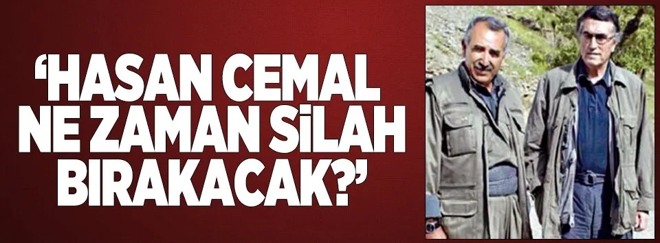 'Bu aydınlar ne zaman silah bırakacak'