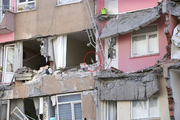 asrin-felaketinde-hasarli-binaya-giremeyince-vince-cikip-iceride-mahsur-kalan-kedisine-seslendi-1676897921485.jpg