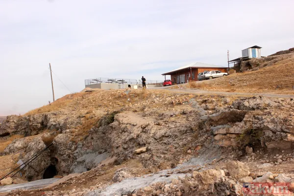 Karaman'da yerin 36 metre derinliğindeki mağarada 5 ay bekletilen Divle obruk peyniri çıkarılmadan yüzde 80'i satılıyor - 12