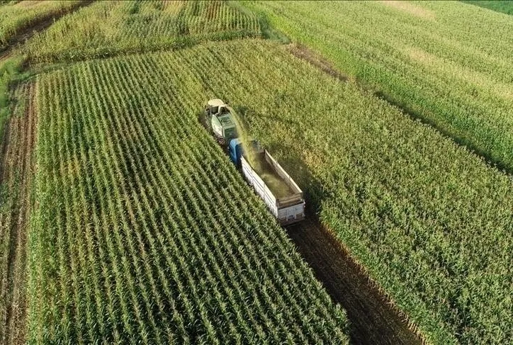 Tarım sayım seferberliği