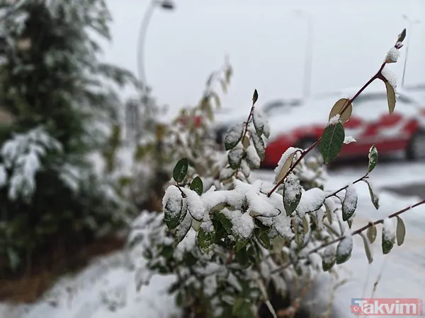 Kar, ayaz ve don alarmı: -16 derecelik soğuklar kapıda! Meteoroloji'den 3 ile sarı kodlu uyarı - 24