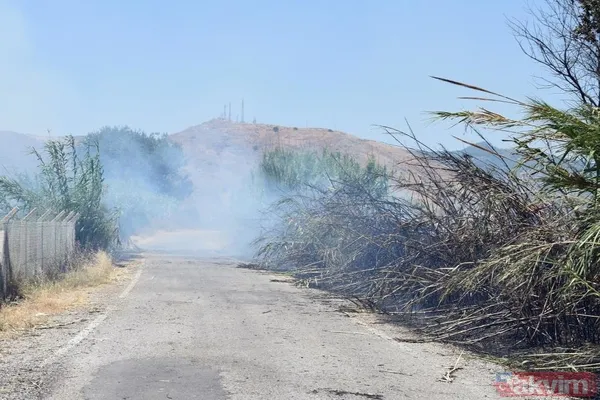 SON DAKİKA: Muğla Dalaman'da yangın! 24 saat geçmeden alevler yeniden yükseldi - 12