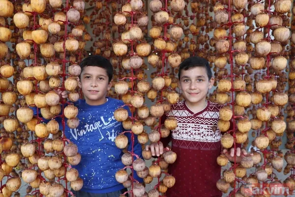 Cennet hurmasında yaş olanın fiyatı 6 kuru olanın fiyatı 50 TL! Almanlar kuru Ruslar yaş tercih ediyor - 20