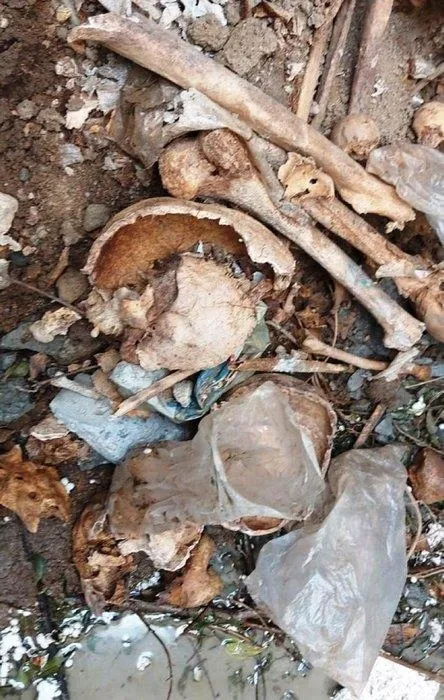 Aydın Nazilli'de heyelan sonrası inşaat temelinden kafatası ve kemikler çıktı-5