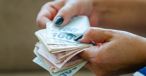 aile-sosyal-yardim-paralari-yatti-mi-ne-zaman-yatacak-2022-aile-destek-programi-basvuru-ekrani-iste-basvuru-ve-1660737353827.jpg 2022 Aile Destek Programı başvuru ekranı! İşte BAŞVURU ve ÖDEME tarihleri! Aile Sosyal Yardım paraları yattı mı, ne zaman yatacak?-4