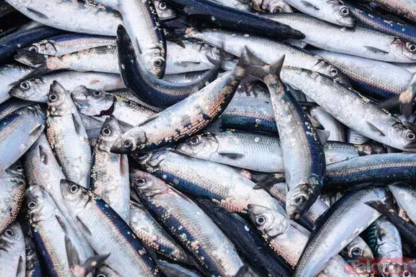 İçi de dışı da sizi yakar! Hepimiz sağlıklı sanıyoruz ama yavaş yavaş zehirleniyormuşuz! Her yediğinizde adım adım... - 3