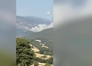 Bursa Balıkesir sınırında orman yangını!