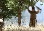 Son dakika: Terör örgütü PKKda çözülme sürüyor! Şırnakta 2 terörist teslim oldu