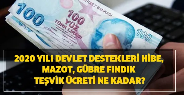 turkiye ekonomisinin bel kemigini