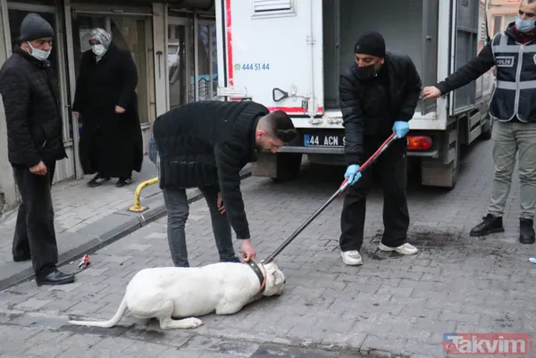 Malatya'da 'pitbull'lu dehşet! Kavga ettiği kişilerin üzerine köpeği saldı: 3 yaralı - 11
