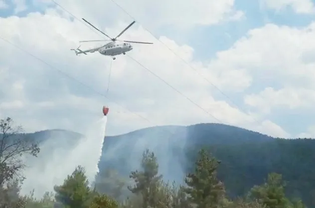 Kütahya Tavşanlı'da orman yangını! Havadan karadan müdahale...