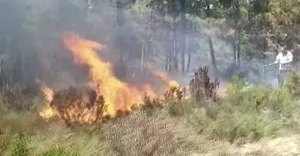 İstanbul’da korkutan orman yangını