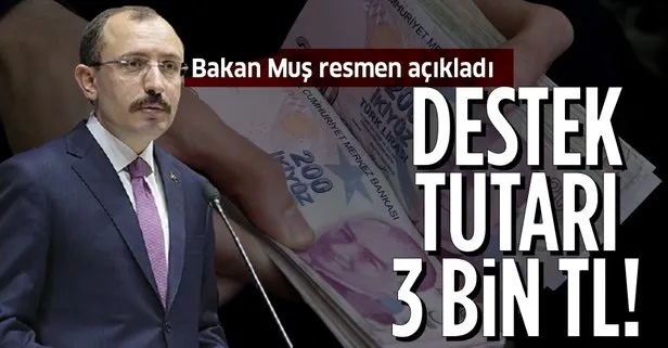 Ticaret Bakanı Mehmet Muş resmen açıkladı: Ciro kaybı desteği 3 bin TL
