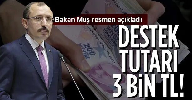 Ciro kaybı desteği 3 bin TL