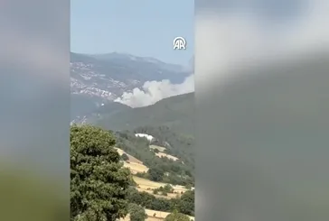 Bursa Balıkesir sınırında orman yangını!
