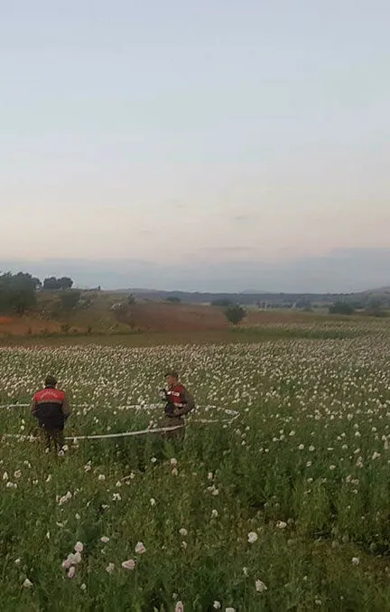 Hayvanlarını otlatmaya gitti, ölü bulundu-2