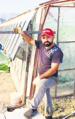 Tavukları getir 500 lirayı kap