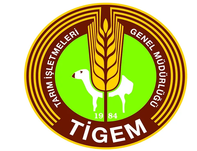 Bakanlık duyurdu! 145 personel alımı yapılacak