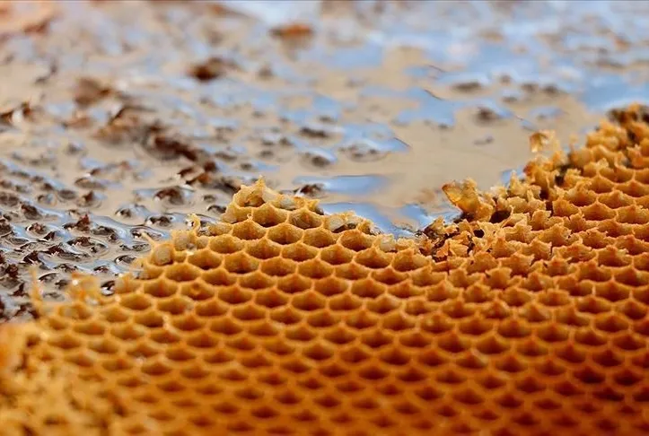 Antibiyotik yerine bal