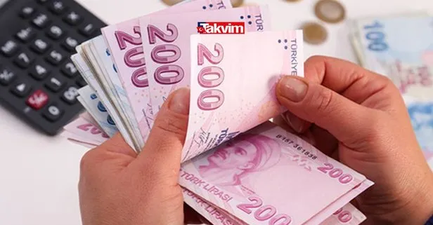 Pandemi 1100 TL destek başvurusu SONUÇ sorgulama! Turkiye.gov.tr pandemi destek sonucu öğrenme ekranı!