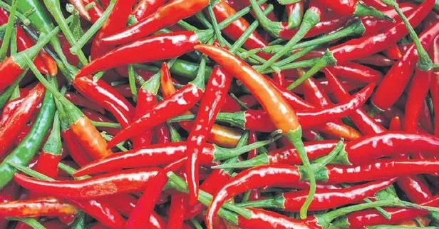 Kırmızı biber toksin biter!