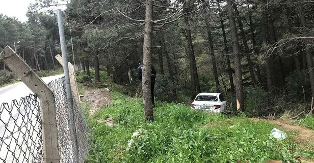 Maltepe’de otomobil ormanlık alana uçtu: 2 yaralı