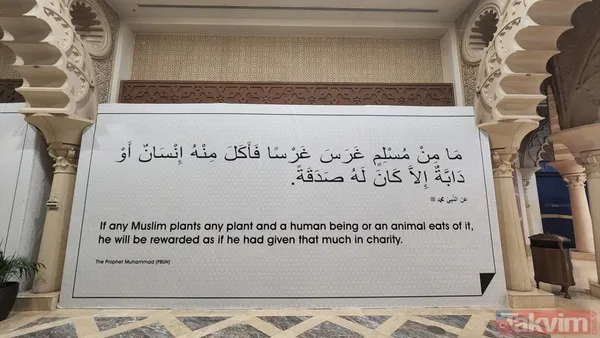 Dünya Kupası taraftarları Katara Kültür Köyü Camisi'ne yoğun ilgi gösterdi - 16