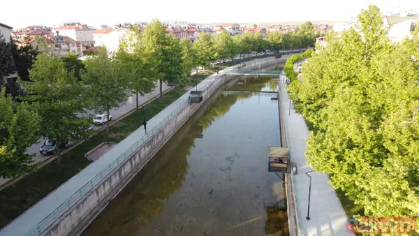 Konya Beyşehir'de vatandaşlar film izler gibi tatlı su yılanlarının akıntıya karşı mücadelelerini izliyor - 14