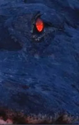 Avının son gördüğü tek şey...