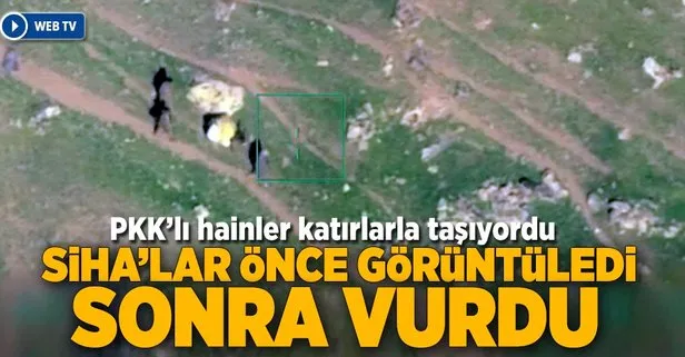 Katırla silah taşıyan PKK’lı teröristler SİHA ile vuruldu!