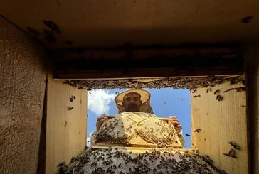 Baş’arı’sı ödüllendirildi