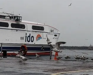 Yola çıkacaklar dikkat! O seferler iptal edildi