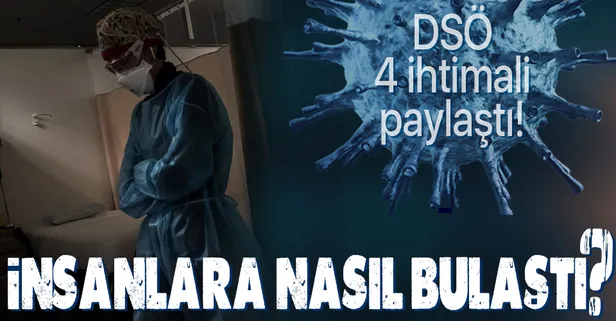 Koronavirüs insanlara nasıl bulaştı? Koronavirüsün kökenini araştırmak için Çin'e giden DSÖ'den flaş açıklama