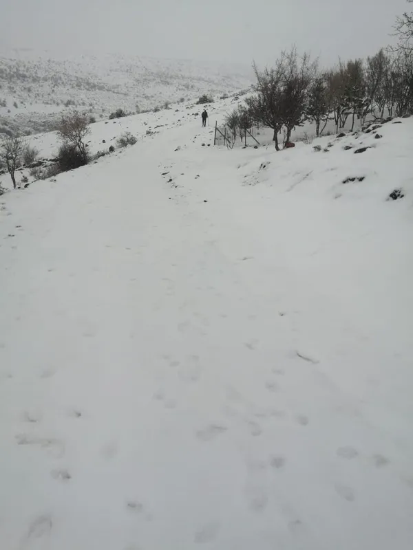 mansur-yavasa-isyan-ne-su-var-ne-yol-sutten-kesildim-babamin-cenazesine-gidemedim-1640337430919.jpg Mansur Yavaş'a isyan: Ne su var ne yol! 'Sütten kesildim babamın cenazesine gidemedim'-8