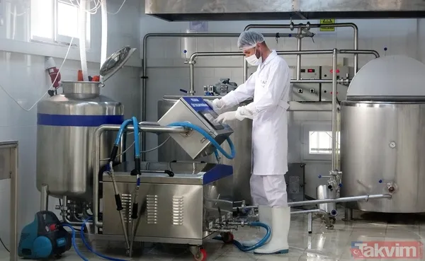 Başkan Erdoğan manda yoğurdunu tavsiye etti! Tokat manda yoğurdu üretiminde önde gelen şehirlerden - 7