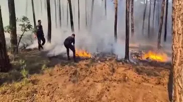 Eskişehir'de orman yangını!