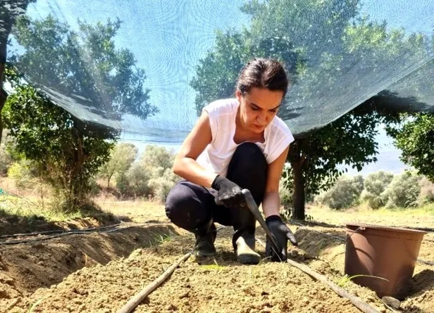 isini-birakarak-sabirla-beklemisti-simdi-paraya-para-demiyor-o-bitkiyi-ekerek-1599927909044.jpg İşini gücünü bıraktı kışın vazgeçilmezi olan bu ürünü satıyor! Oldukça yüklü kazanıyor! Paraya para demiyor-2