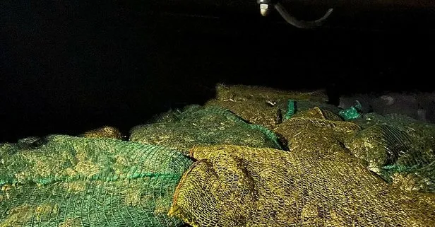 Şırnak’ta kaçak kurbağa avına 737 bin lira ceza