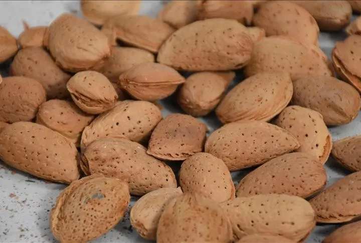 Bademle cildini koru