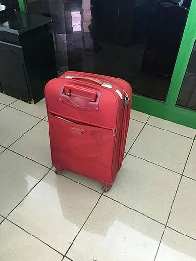 Antalya otogarında valizde boa yılanı ele geçirildi-1