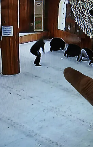 Gaziantep'te camide akılalmaz hırsızlık! Namaz kılar gibi yaparak...