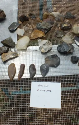 200 bin yıllık insan izleri bulundu